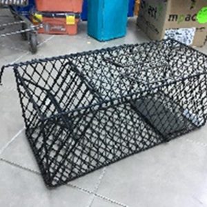 Predator Cage Large