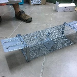 Predator Cage Small